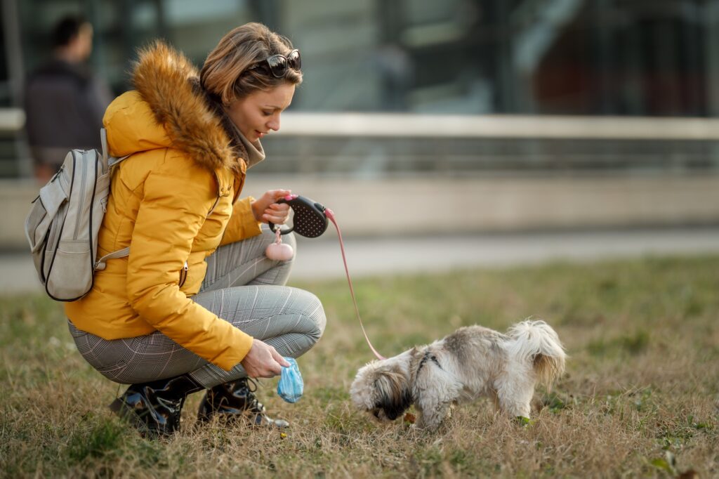 Leash And Clean Up After Your Pet