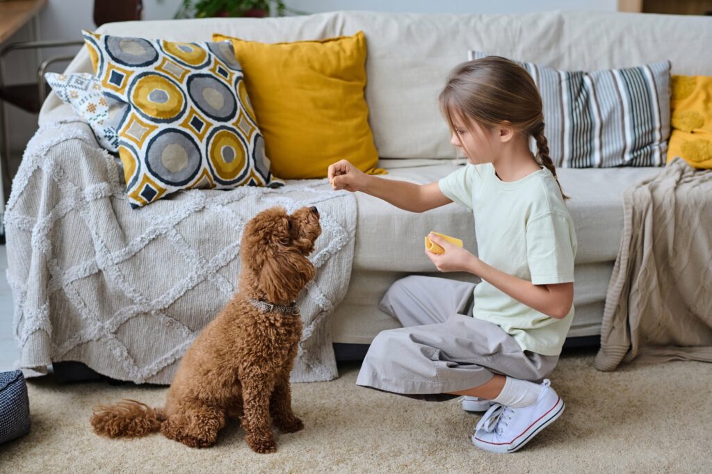 Little girl training her pet at home